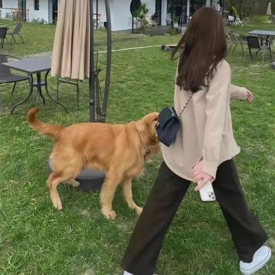 圣爱启示录